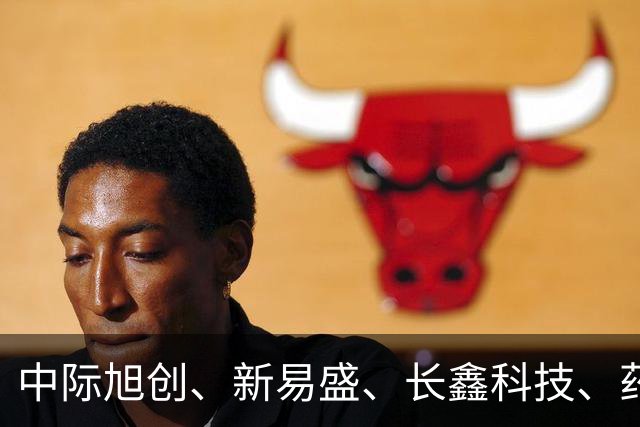 中际旭创、新易盛、长鑫科技、药明康德集体被增持，机构：当前A股不宜过度悲观