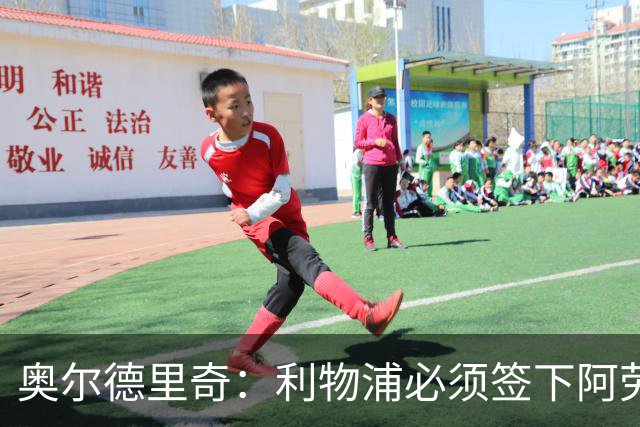奥尔德里奇：利物浦必须签下阿劳霍
