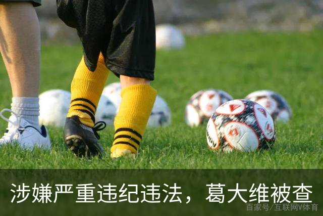 涉嫌严重违纪违法，葛大维被查